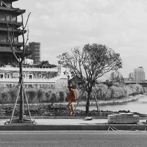 色综合视频在线
