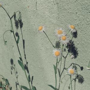 色综合视频在线
