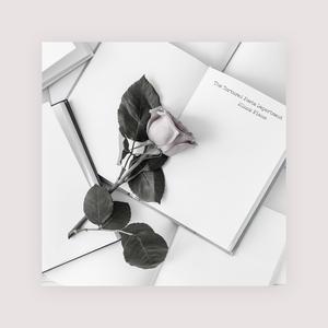 色综合视频在线
